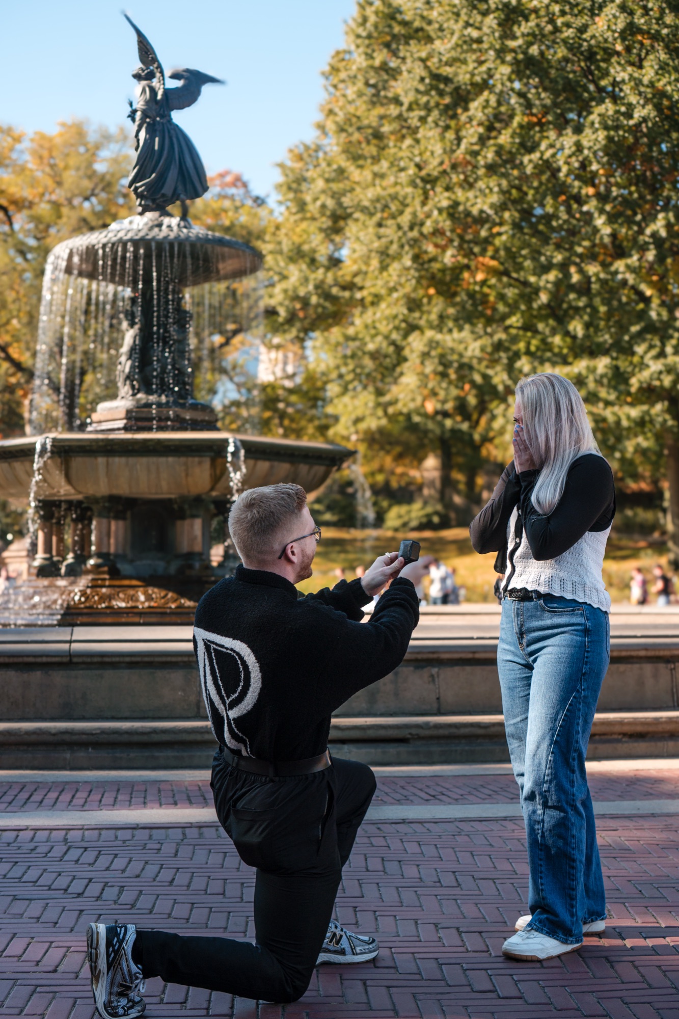 Central Park proposal at Bethesda Fountain